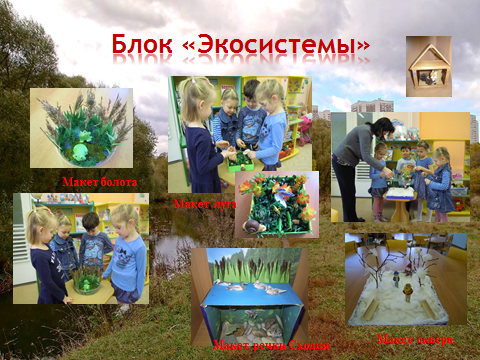 Исследования детьми Чудесный уголок Москвы - Сходненский ковш
